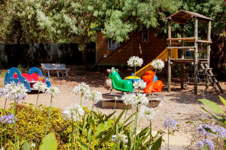 animation-camping-var (3)